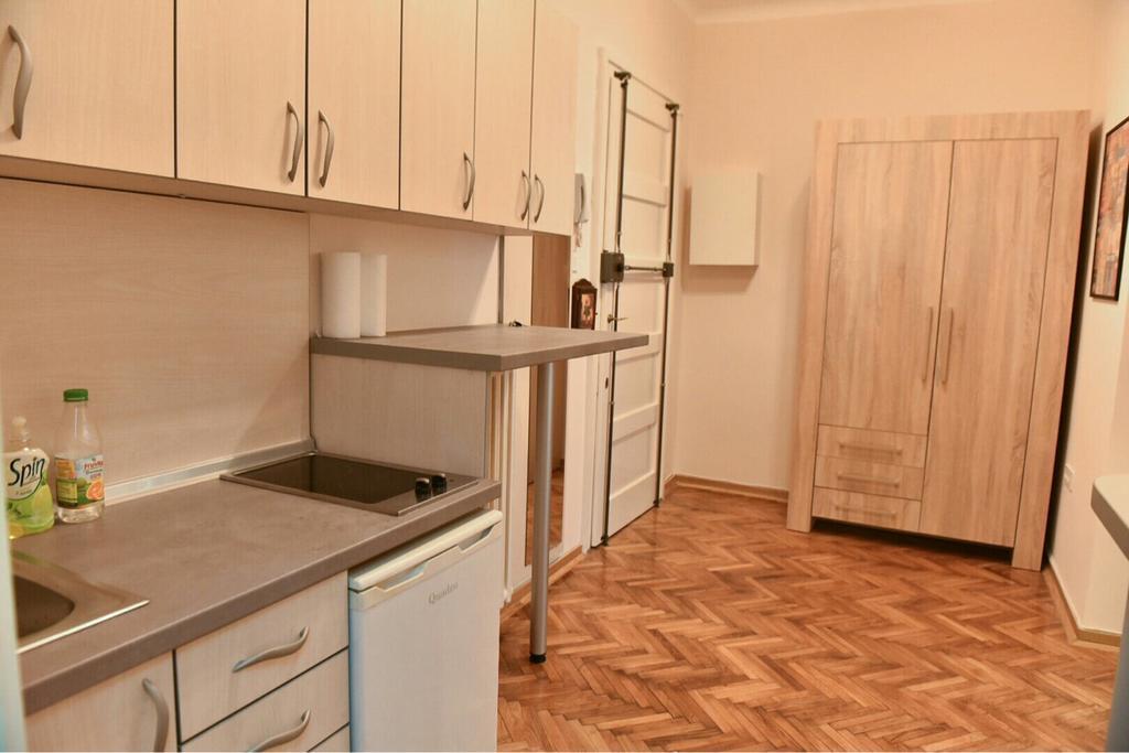 נובי סאד Bojan Central Apartment מראה חיצוני תמונה